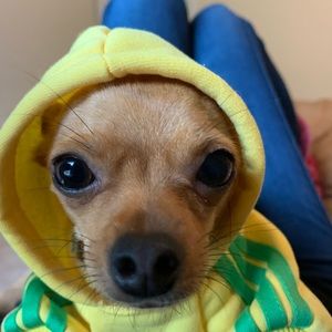 Meet your Posher, Belen